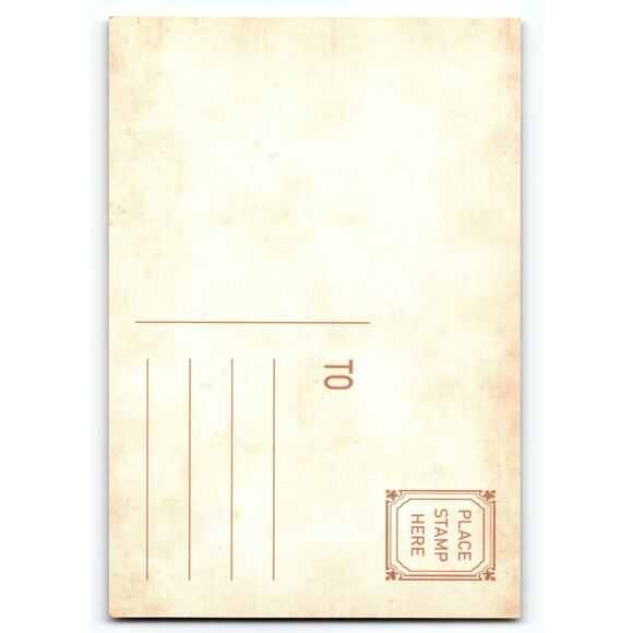 Gothic Fairy Halloween Postcard Lithograph 5.5x4 Paper Chrome - Picture 2 of 2